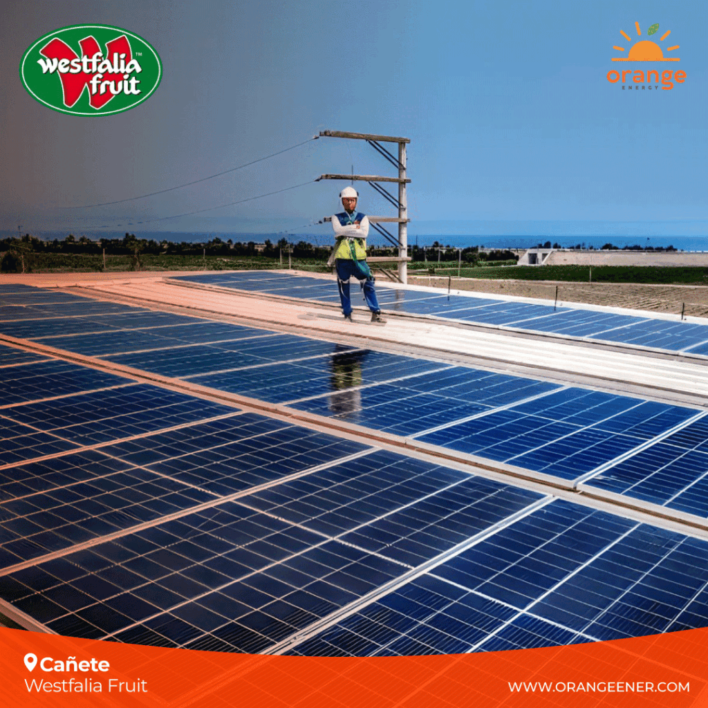 Planta solar Westfalia Fruit